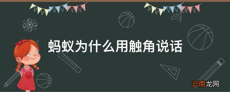 蚂蚁为什么用触角说话