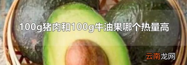 100g猪肉和100g牛油果哪个热量高