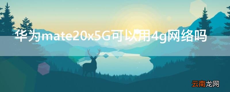 华为mate20x5G可以用4g网络吗 华为mate20x5G支持无线充电吗