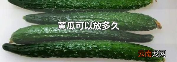 黄瓜可以放多久