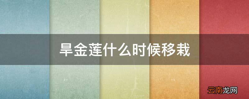 旱金莲什么时候移栽