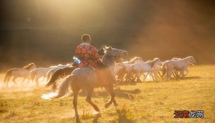 安代舞是哪个民族的 安代舞是哪个民族的舞蹈