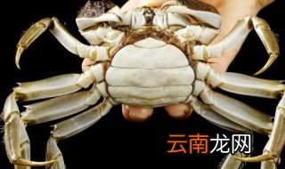 红花蟹的正确煮方法 红花蟹煮多长时间