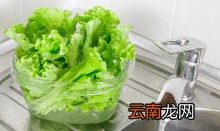生菜什么时候种植 包头生菜什么时候种植