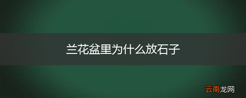 兰花盆里为什么放石子