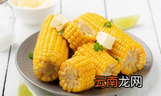 本地玉米煮多久能熟 一般本地玉米煮多久就熟了