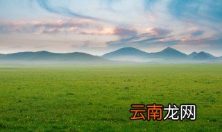 各种牧草种植季节 牧草什么时候种植
