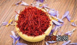 藏红花泡水放多了怎么办 藏红花泡水放多了如何解决