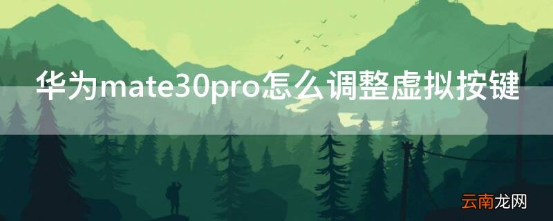 华为mate30pro怎么调整虚拟按键 华为mate30pro虚拟按键设置