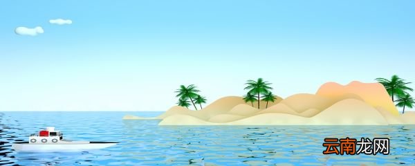 海带是海鲜吗 海带属于海鲜类吗
