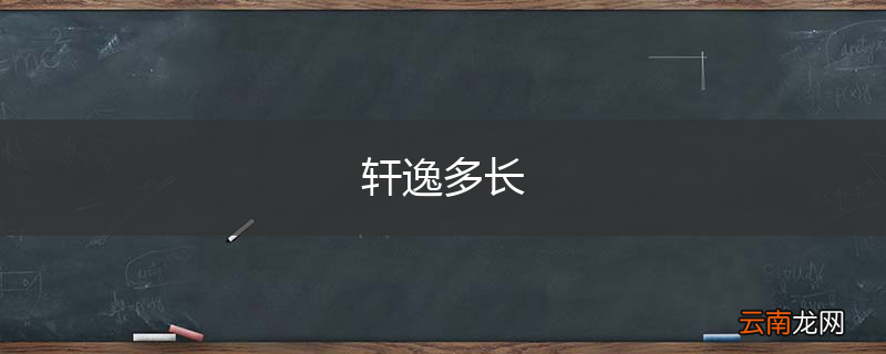 轩逸多长