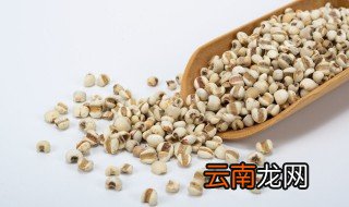 薏米什么时候种植 薏米适应什么地方种,种植时间及收获时间