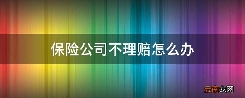 保险公司不理赔怎么办