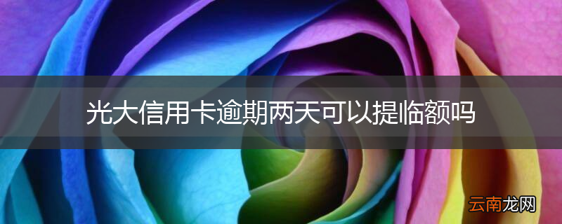 光大信用卡逾期两天可以提临额吗