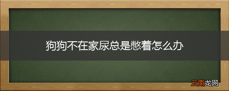 狗狗不在家尿总是憋着怎么办