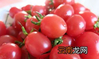 圣女果怎么放冰箱保鲜 圣女果用放冰箱保存吗