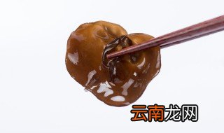 木耳菜什么时候种植，山东木耳菜什么时候种植