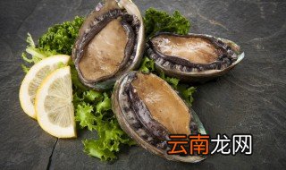 新鲜鲍鱼怎么保鲜效果好视频 新鲜鲍鱼怎么保鲜效果好