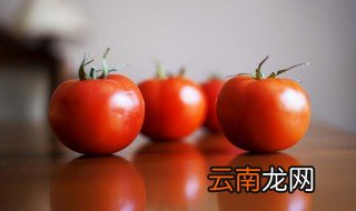西红柿什么时候种植 西红柿什么时候种植最好