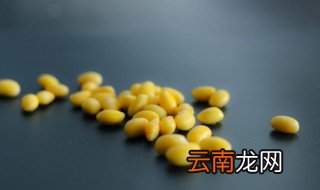 春大豆什么时候种植，春大豆种植时间