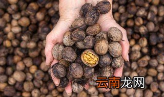 如何鉴别星月菩提 鉴别星月菩提的方法