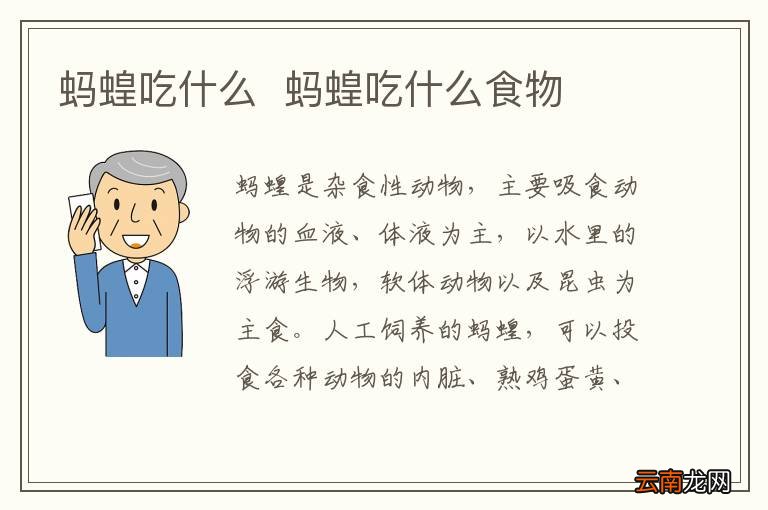 蚂蝗吃什么蚂蝗吃什么食物