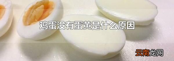 鸡蛋没有蛋黄是什么原因