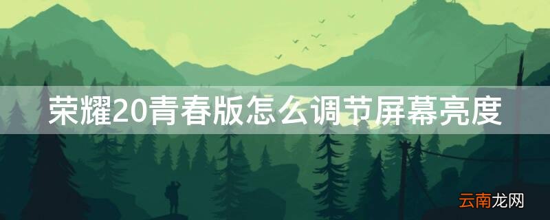 荣耀20青春版怎么调节屏幕亮度 荣耀20青春版 自动亮度问题