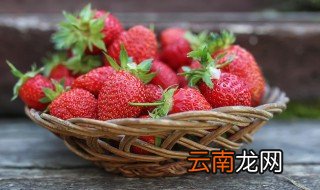 怎样挑选纯牛奶草莓好吃 牛奶草莓好吗