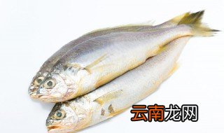 怎样挑选鱼肚好吃 怎么挑选鱼肚