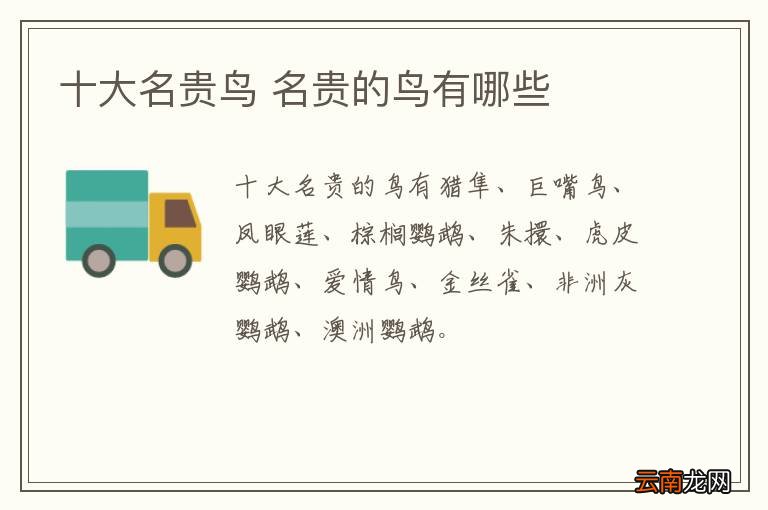 十大名贵鸟 名贵的鸟有哪些