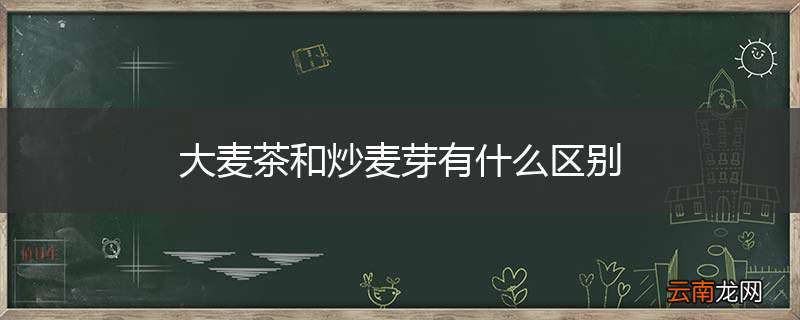 大麦茶和炒麦芽有什么区别