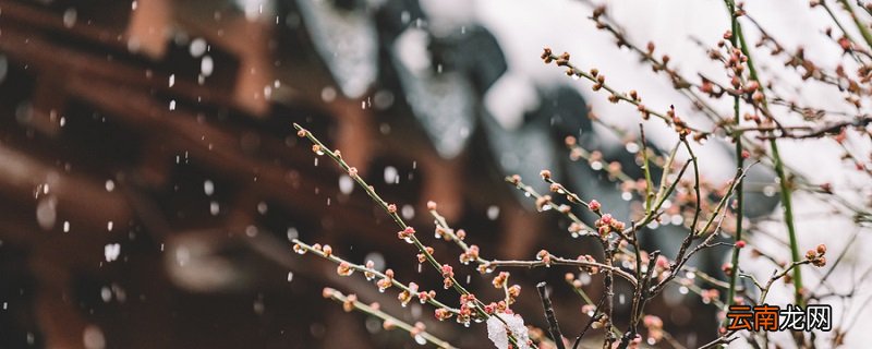 寒雨是什么季节的雨 寒雨多在什么季节出现