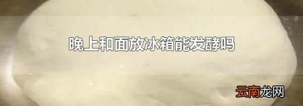晚上和面放冰箱能发酵吗