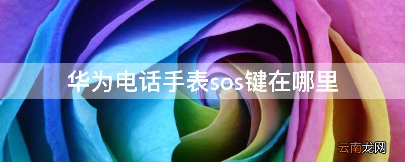 电话手表的sos键在哪里 华为电话手表sos键在哪里