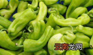 山东青椒什么时候种植，青椒栽培技术几月种植