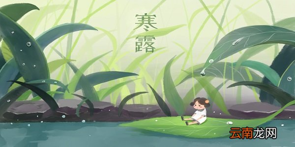 寒露的谚语