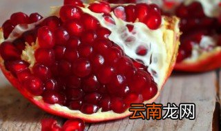 石榴树什么时候种植 石榴树什么时候种植成活率高