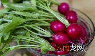 红萝卜种植技术和种植时间 小红萝卜什么时候种植