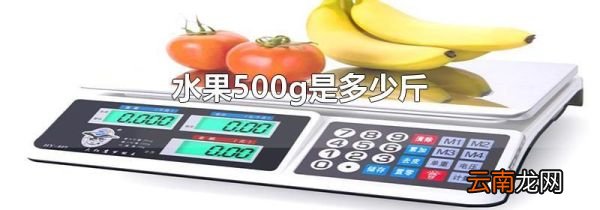 水果500g是多少斤