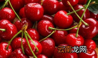 樱桃种子什么时候种植 樱桃种子什么时候种植最好