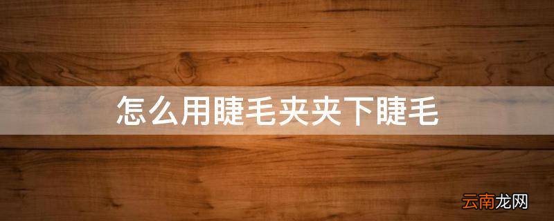 怎么用睫毛夹夹下睫毛