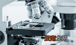 如何校验20倍读数显微镜 校验20倍读数显微镜的方法