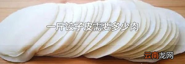 一斤饺子皮需要多少肉