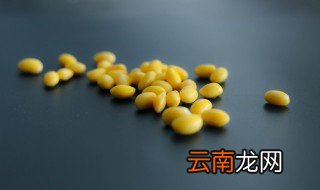 怎样挑选好吃的黄豆子，怎样挑选好吃的黄豆子做豆腐