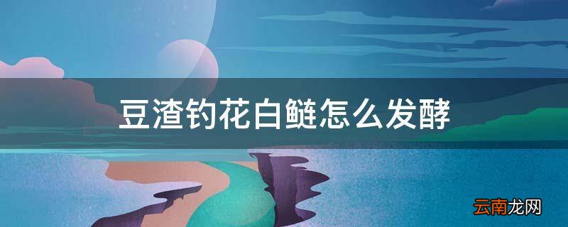 豆渣钓花白鲢怎么发酵