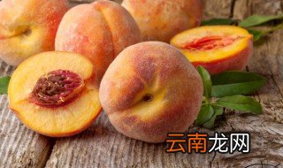 桃子树什么时候栽最好 桃子什么时候种植最好