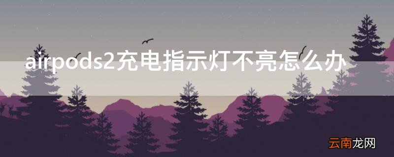 airpods2充电时指示灯不亮 airpods2充电指示灯不亮怎么办