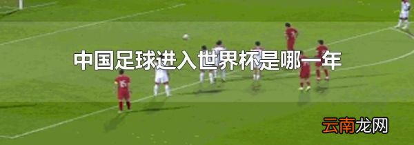 中国足球进入世界杯是哪一年
