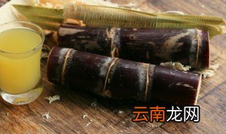 甘蔗种子什么时候种植 甘蔗种子什么时候种植最佳